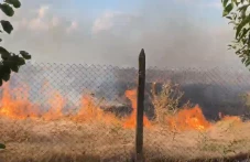 Гръм запали пожар в Калояновско ВИДЕО