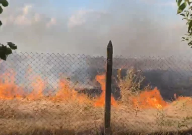 Гръм запали пожар в Калояновско ВИДЕО