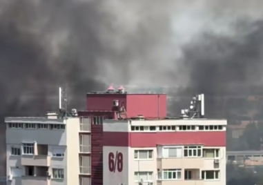 Нов пожар пламна край Асеновград
