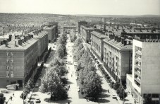 na-tozi-den-osnovan-e-dimitrovgrad-378.jpg