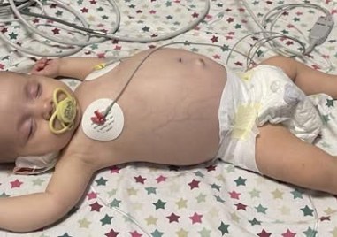 3-месечният Явор - още едно много болно детенце, което има нужда от помощ