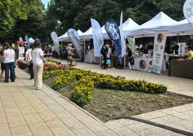 Със зелени идеи, забавления и благородна кауза Re:Bazaar отново завладя район „Южен“