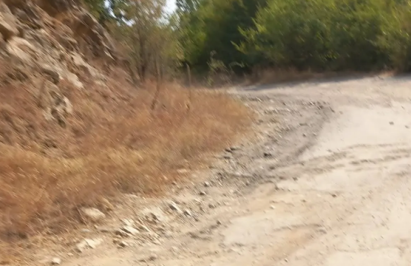 Жена за пътя към “Бяла река“: 20 години не намерихте средства