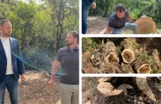 Лаута е в колапс! Време е да погледнем истината в очите ВИДЕО