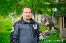 veterinarna-parameditsina-divi-zhivotni-867.jpg