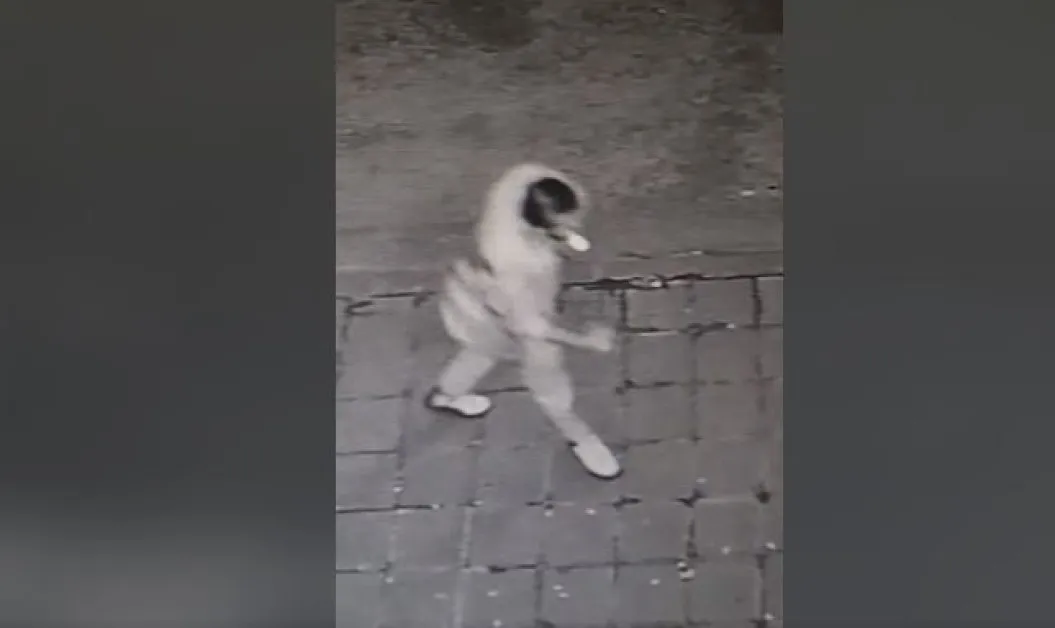 Обвиниха млад мъж за кражба в Асеновград