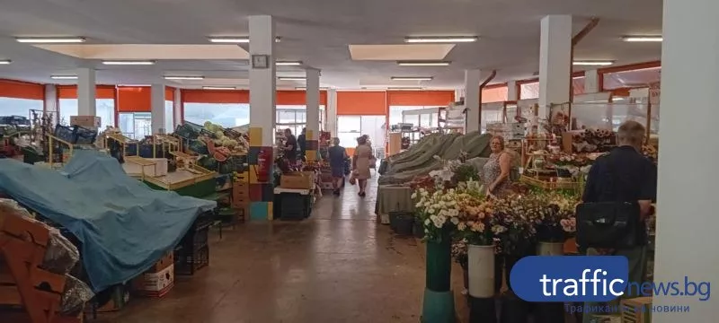 Скъпи домати и краставици на пазара в Пловдив, производители предупреждават за ново поскъпване