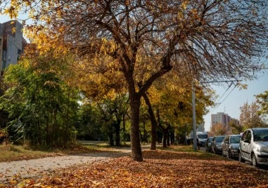 Слънчева неделя, но с по-ниски температури в Пловдив