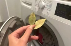 Защо трябва да слагате дафинови листа в пералнята си