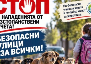 Безстопанствени кучета тревожат жителите и гостите на град Баня